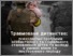 [img]